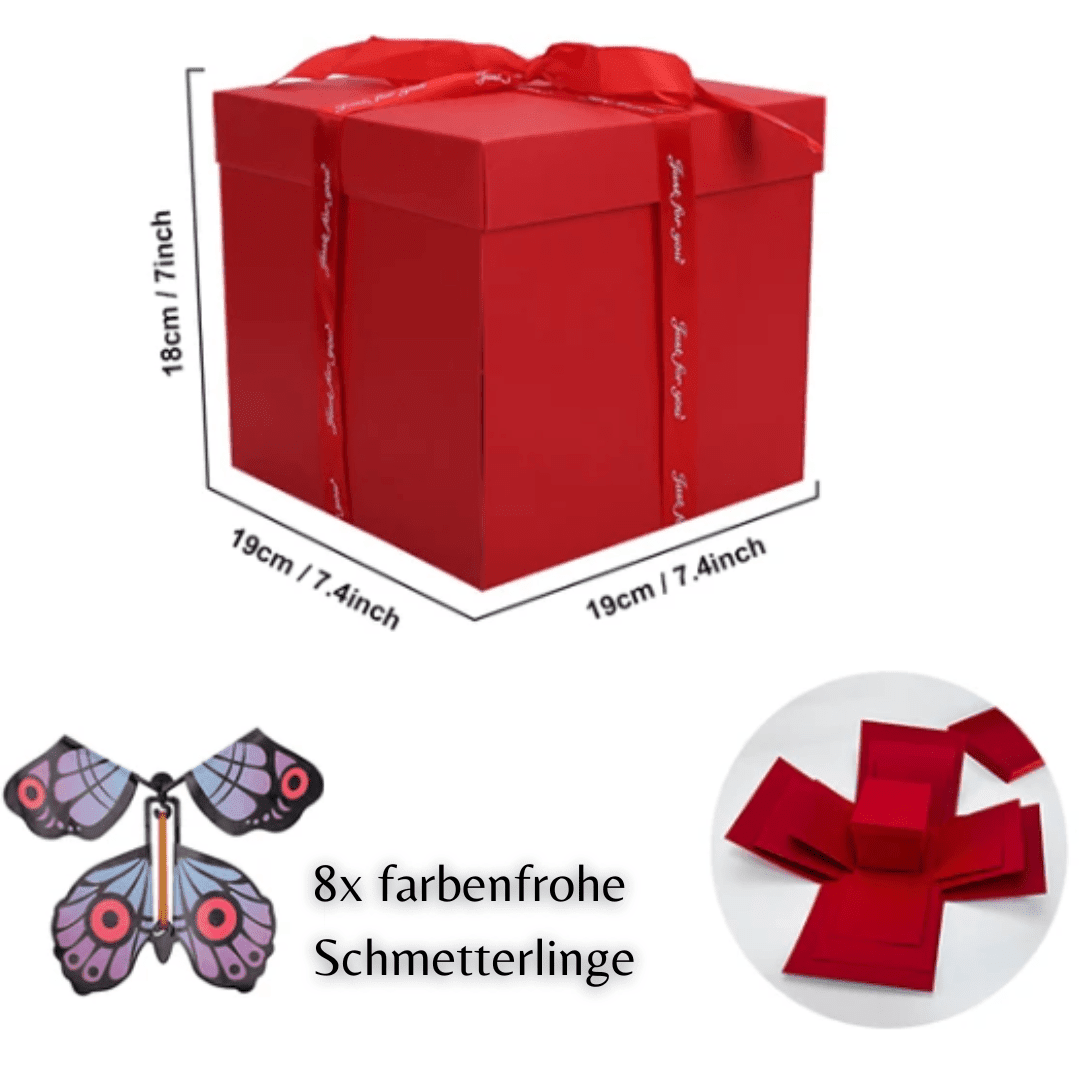 SurpriseBox - Die grosse Überraschung - dydoo.ch